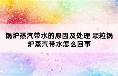 锅炉蒸汽带水的原因及处理 颗粒锅炉蒸汽带水怎么回事